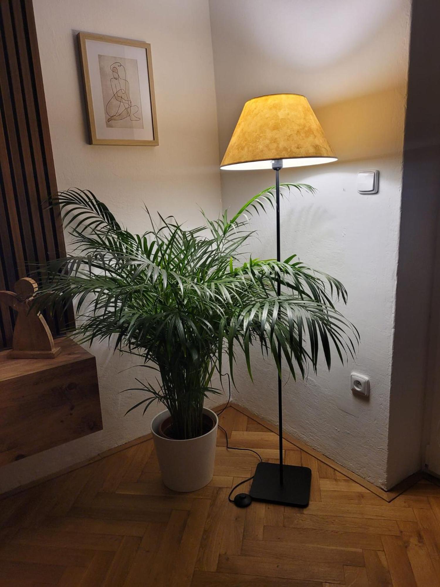 Novy Apartman Eva Jičín Εξωτερικό φωτογραφία