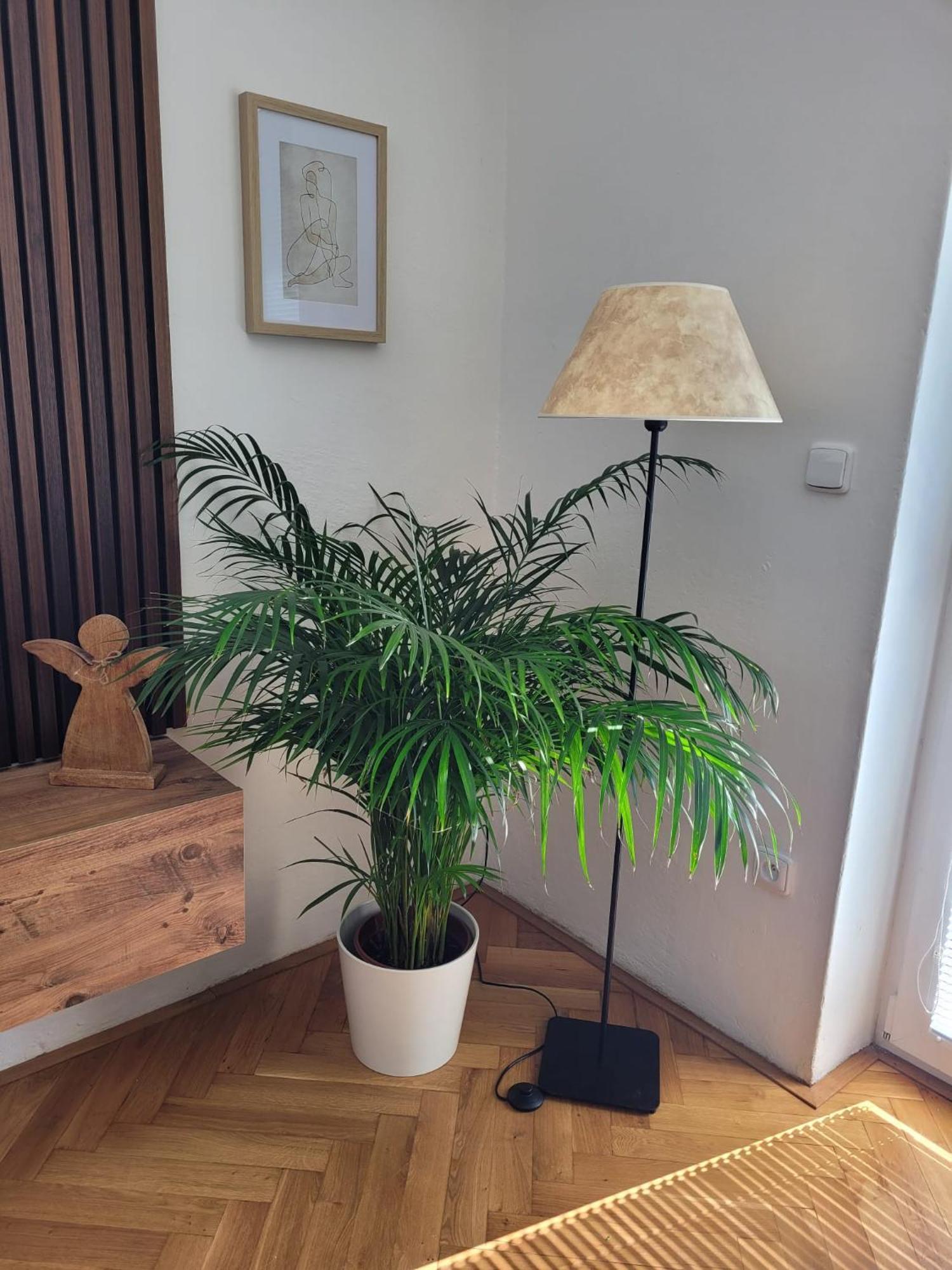 Novy Apartman Eva Jičín Εξωτερικό φωτογραφία